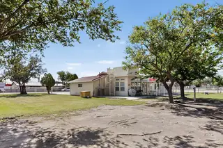 01 Goodhart Road Backyard