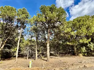 Lot 85 ARROWHEAD ESTATES 