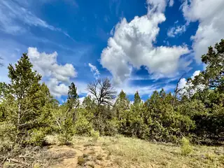 Lot 85 ARROWHEAD ESTATES 