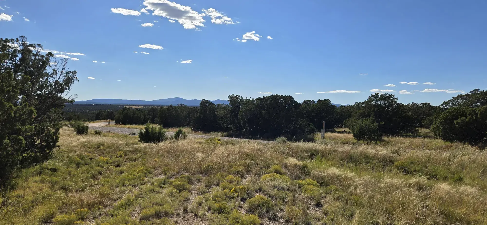 Lot 15 Swayback Trail