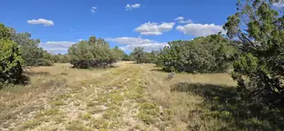 Lot 15 Swayback Trail 