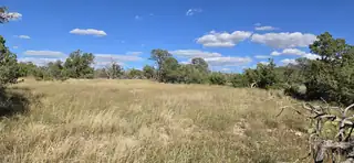 Lot 15 Swayback Trail 