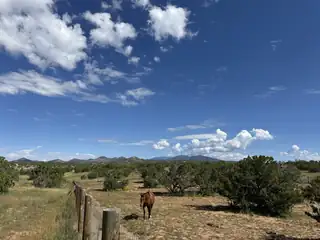 21 CATTLE Drive View