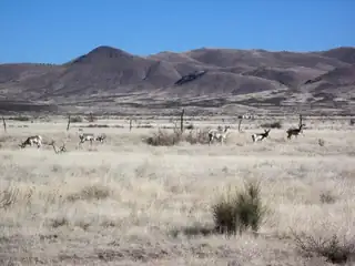 WILLOW SPRINGS RANCH Lot: 35 