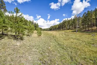 27.5 Acres Jemez Mountain Forest Rd 10 