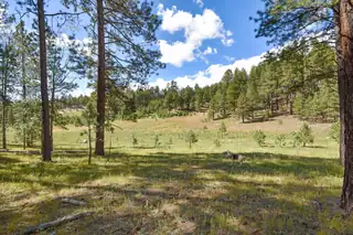 27.5 Acres Jemez Mountain Forest Rd 10 