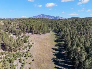 27.5 Acres Jemez Mountain Forest Rd 10 