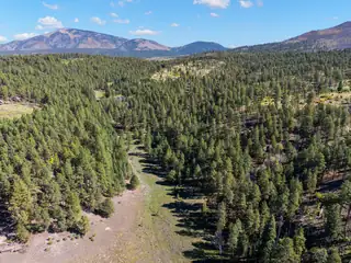 27.5 Acres Jemez Mountain Forest Rd 10 