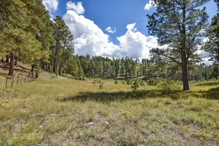 27.5 Acres Jemez Mountain Forest Rd 10 