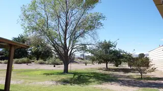 415 County Road 91 Backyard