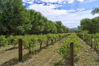 3821 CORRALES Road View