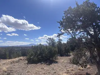 498 Starfire Loop View