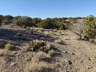 74 DESERT MOUNTAIN Road, Placitas 