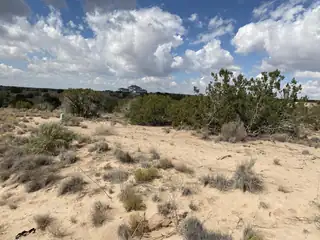 5317 Kennard Road NE 