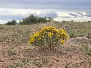 VL WILLOW SPRINGS RANCH Lot 2-9, San Antonio 