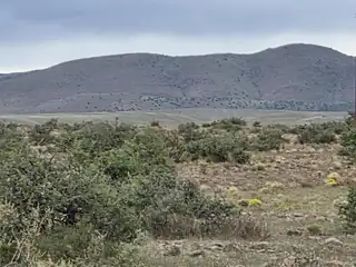 VL WILLOW SPRINGS RANCH Lot 2-9 