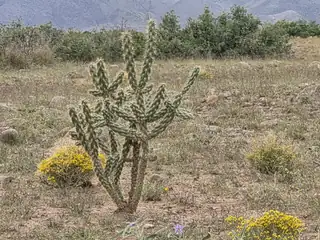 VL WILLOW SPRINGS RANCH Lot 2-6, San Antonio 