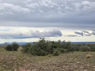 VL WILLOW SPRINGS RANCH Lot 2-6 