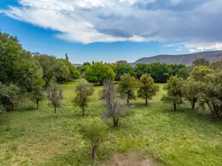 29224 U.S. Highway 70 