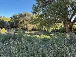 29224 U.S. Highway 70 