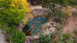 93 Cedar Ridge Road View