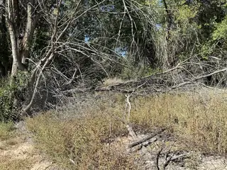 12 Arroyo Los Lopez (TBD) Road 