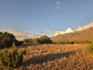 RDO L2B2U51 L3B2u51 L3B73U37 