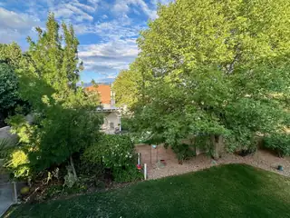 8100 Rancho Viejo Court NW Backyard