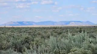 RGE Lot 16 Block 377 