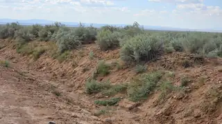 RGE Lot 17 Block 377 17 