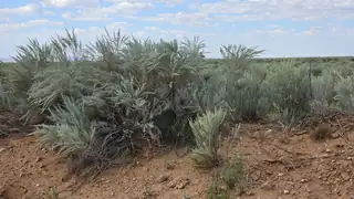 VL LOTS 18 Block 377 17 