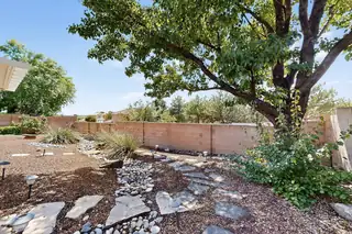 4320 LA PALOMA Road NW Backyard