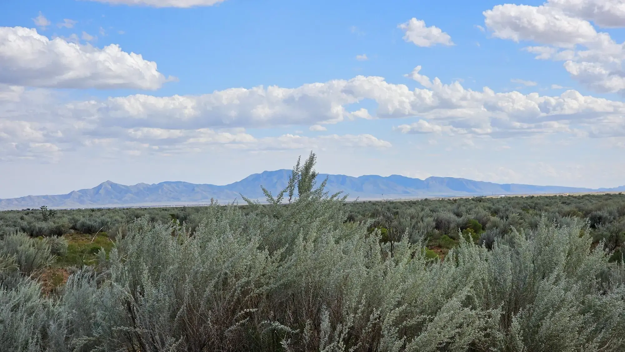 RGE LOTS 13 BLOCK 589 25