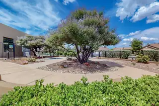 806 Purple Aster Drive View