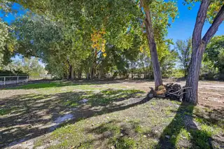 8 James Sanchez Lane Backyard