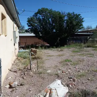 514 Terry Avenue Backyard