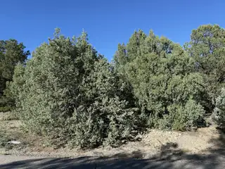 367 Thunderbird Lane 