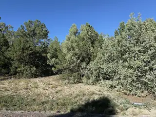 367 Thunderbird Lane 