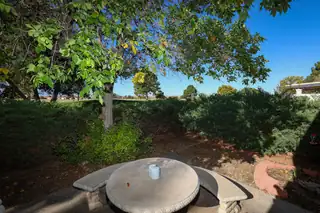 632 Carmel Road Backyard