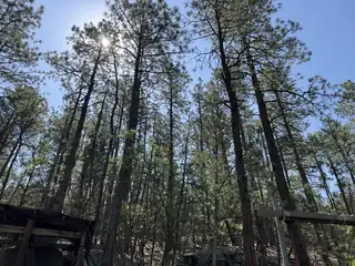 47 Green Shadow Lane 