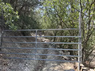 47 Green Shadow Lane 