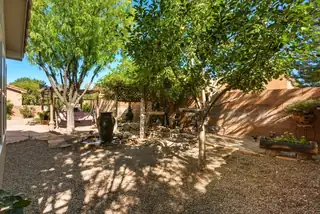 316 CALLE DAMIANO Backyard