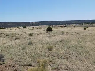 70 ACRES SOUTH COYOTE TRAIL 