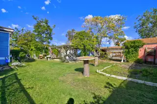 422 Dalies Avenue Backyard