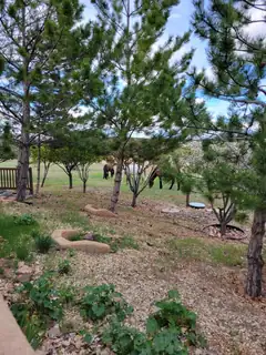 7 La Quinta Backyard