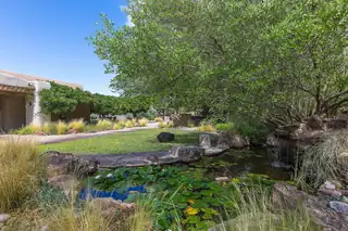 257 Camino De Lucia Backyard