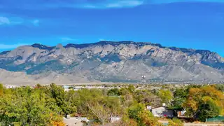 8432 Creek Street NE View