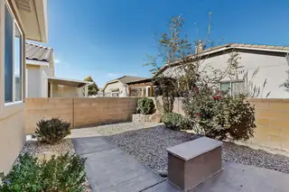 977 Salt Cedar Court Backyard