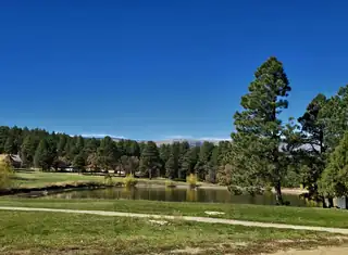 164 Camino Facil View