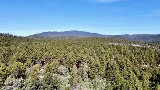 2 Log House Road View